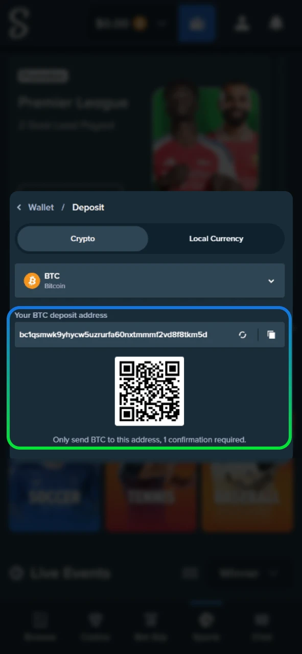 Copy the deposit address or scan the QR code to fund Stake.
