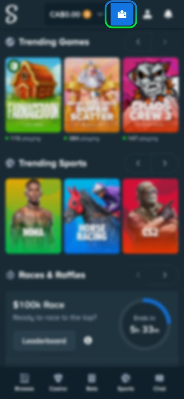 Press the Wallet button to deposit funds into your Stake account.