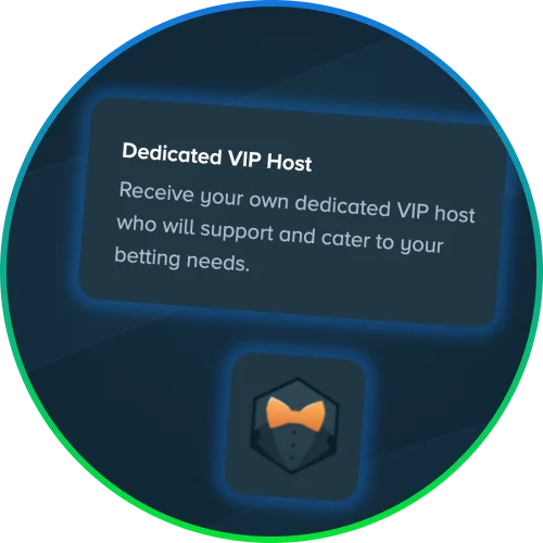 Stake VIP host helps with payouts, account questions, and offers.