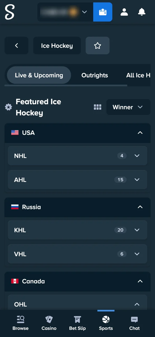 Explore hockey lines at Stake Casino and bet on NHL, AHL, or KHL games.