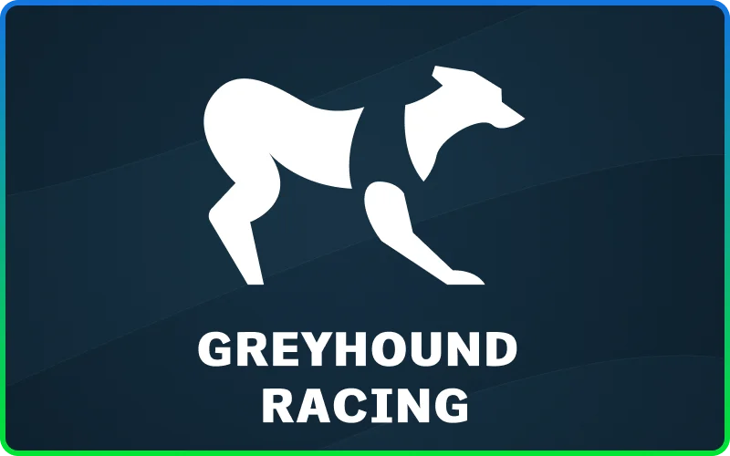 Bet on live greyhound races from England and Europe at Stake.