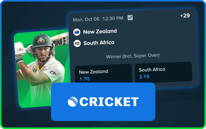 Wager on over-by-over cricket odds in-play with Stake.