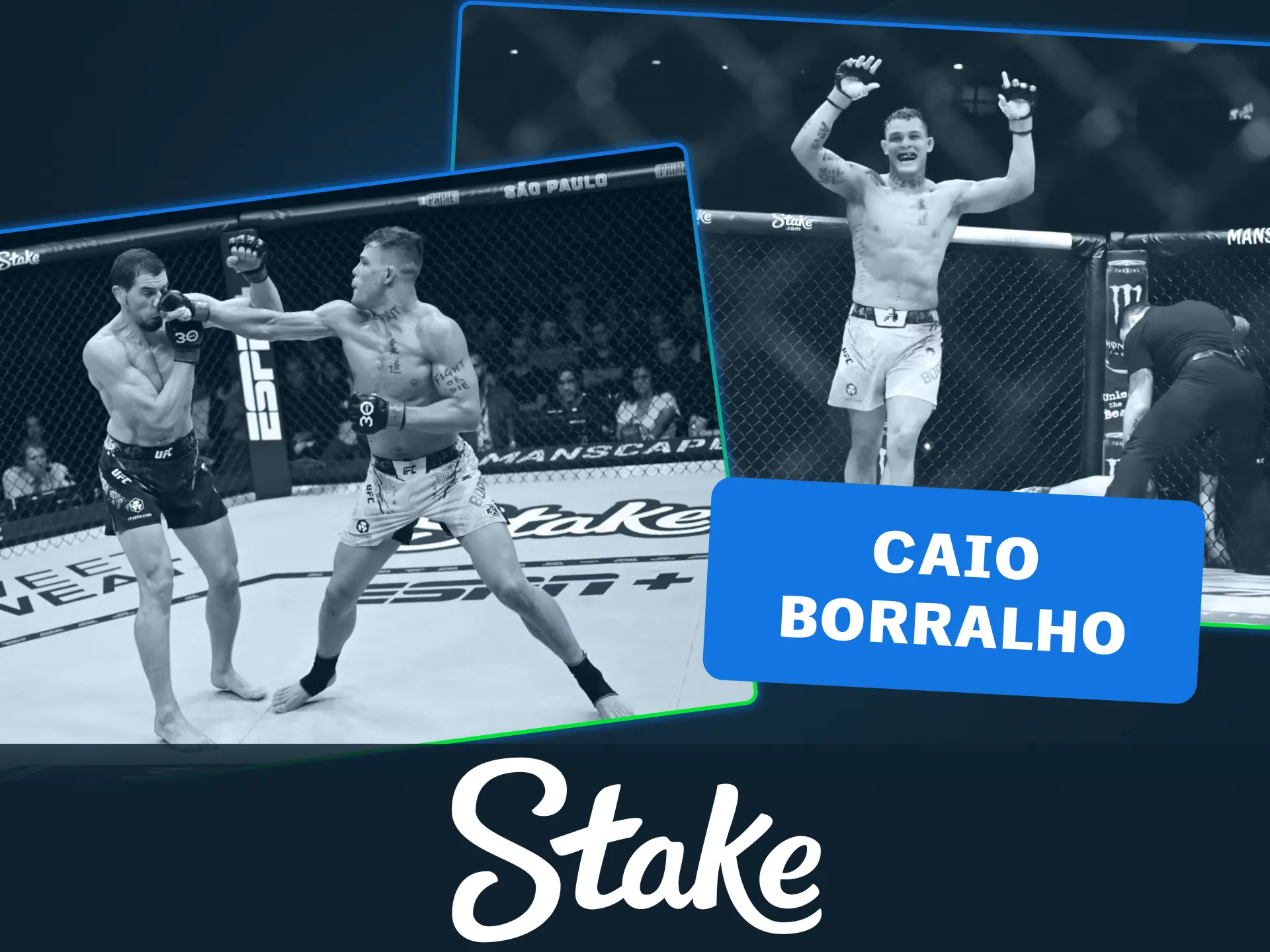 Back rising UFC stars on the Stake official betting site.