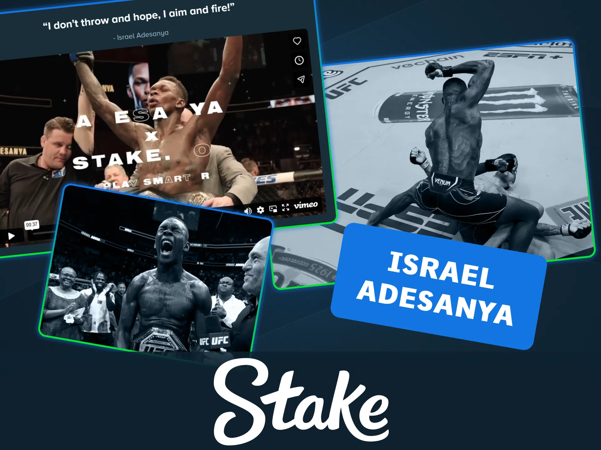 Bet on UFC fights through the Stake official MMA site.