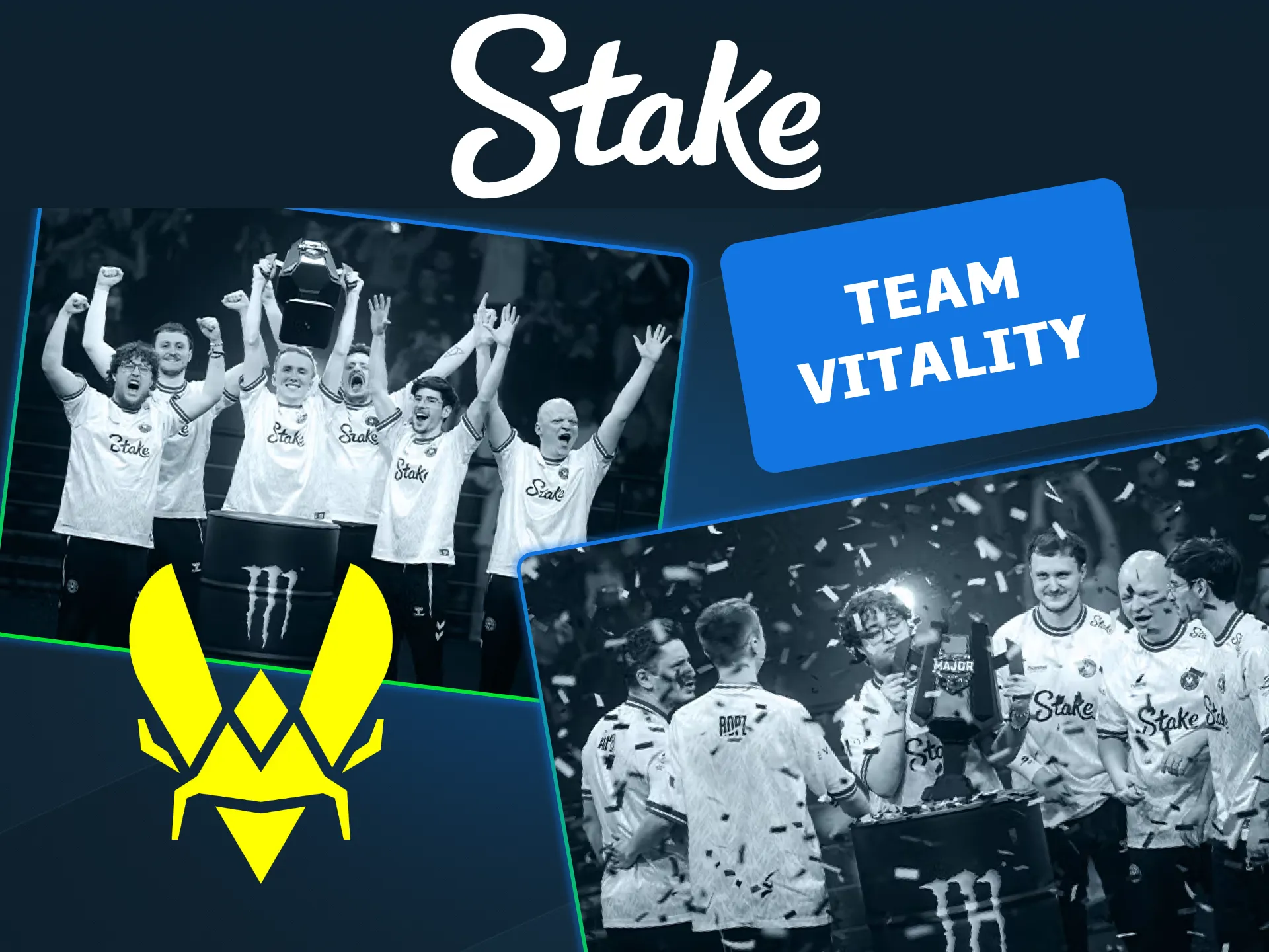 Engage with top eSports teams on the Stake official site.