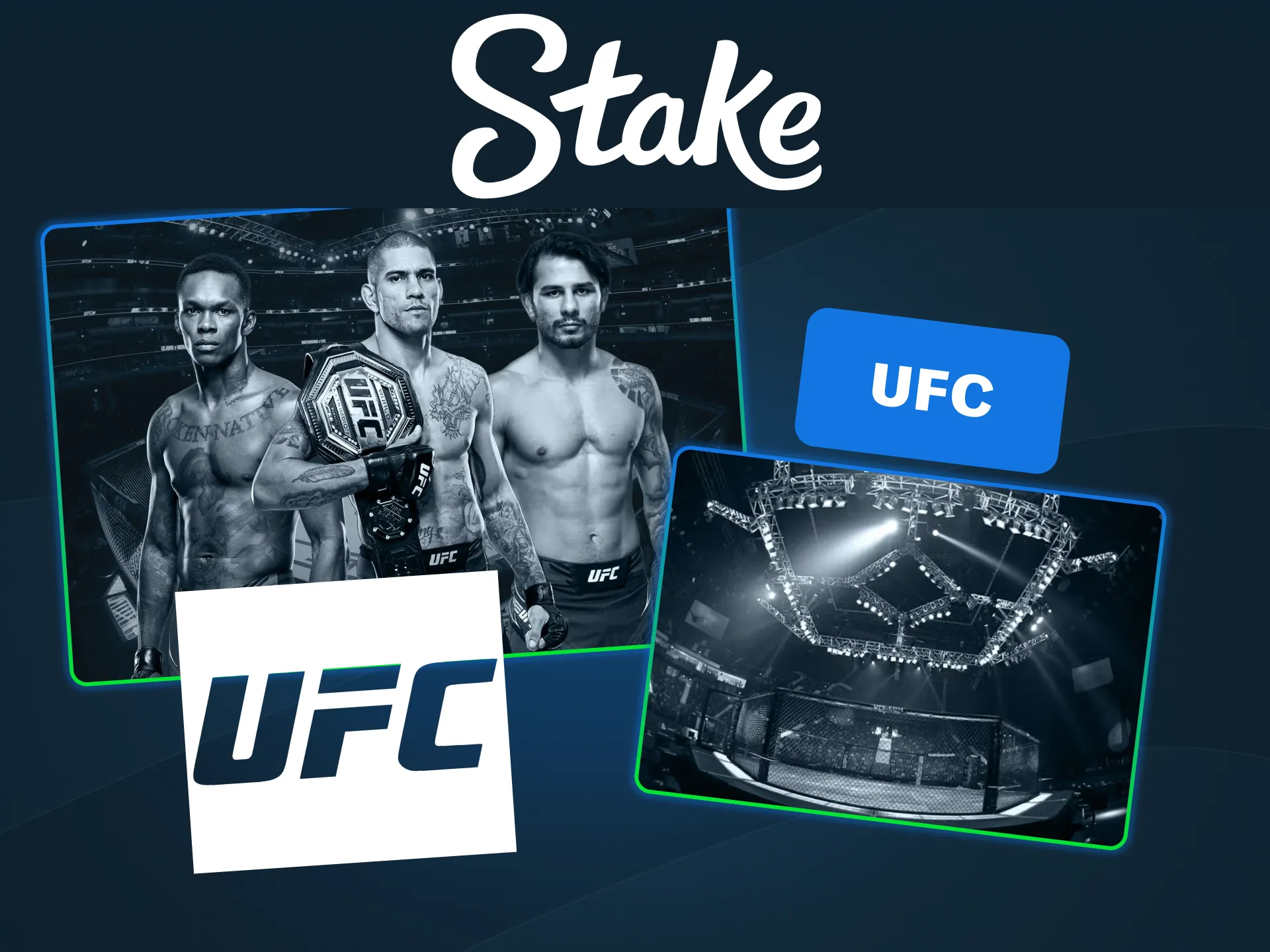 Explore exclusive fight odds on the Stake official UFC site.