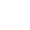 Team Vitality
